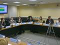Заседание Совета по федеральным стандартам по разработке ФСБУ «Основные средства» 30.01.2015